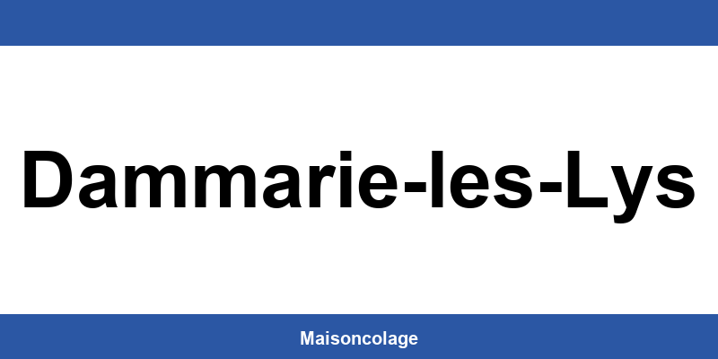 Horaires Bricoman à Dammarie-les-Lys – Contact 24/7