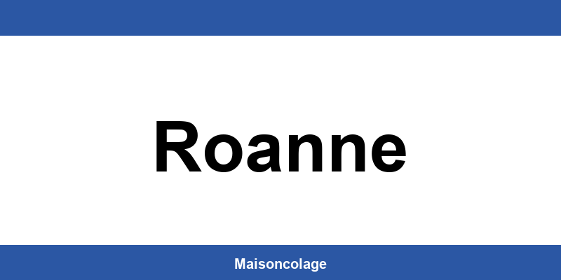 Horaires Bricoman à Roanne – Contact 24/7